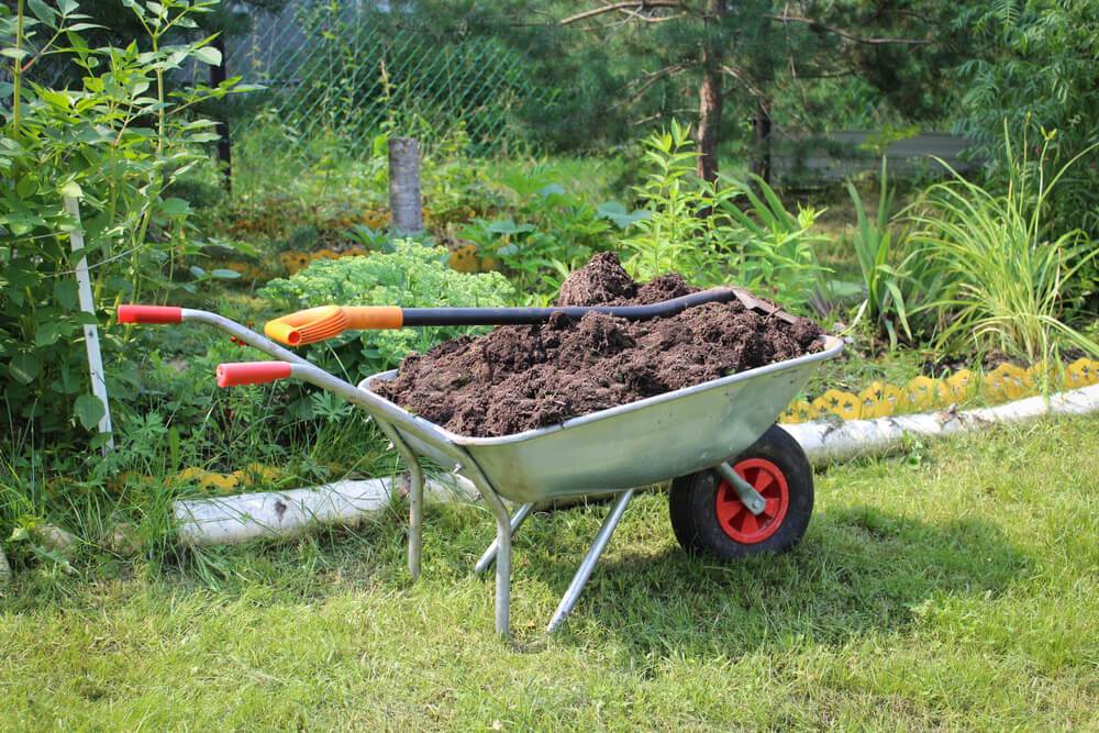 Wheelbarrow on sale